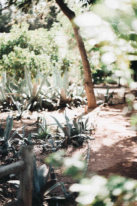 Elegant fall California wedding in Rancho Santa Fe with Indian traditions by Mein Schatz Events