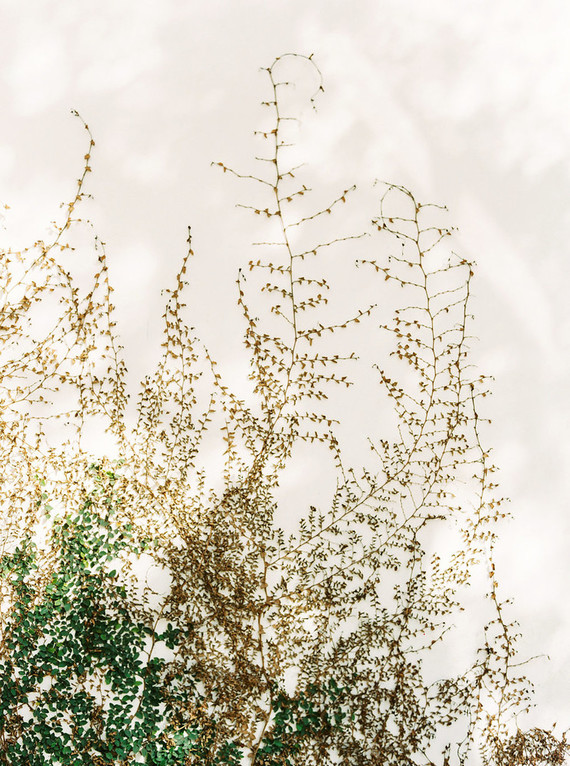 Peachy natural Austin summer wedding ideas at Garden Grove