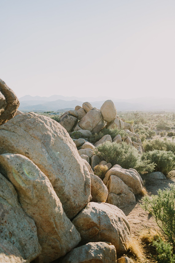 Rustic Joshua Tree wedding with a pink floral dress