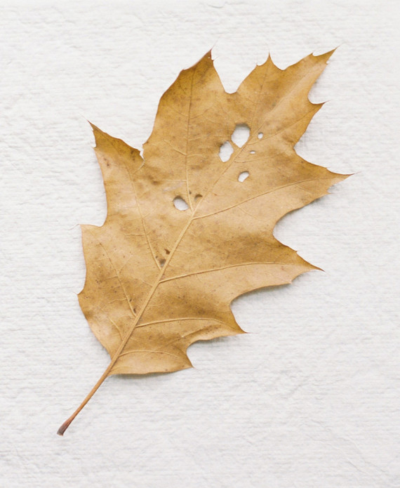 Minimal modern grey wedding ideas