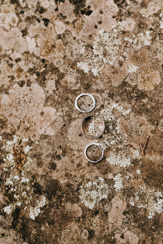 Rustic Pine forest wedding at The Roxbury Barn & Estate Inspiration