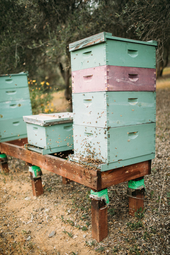 Rancho Valencia Resort and Spa