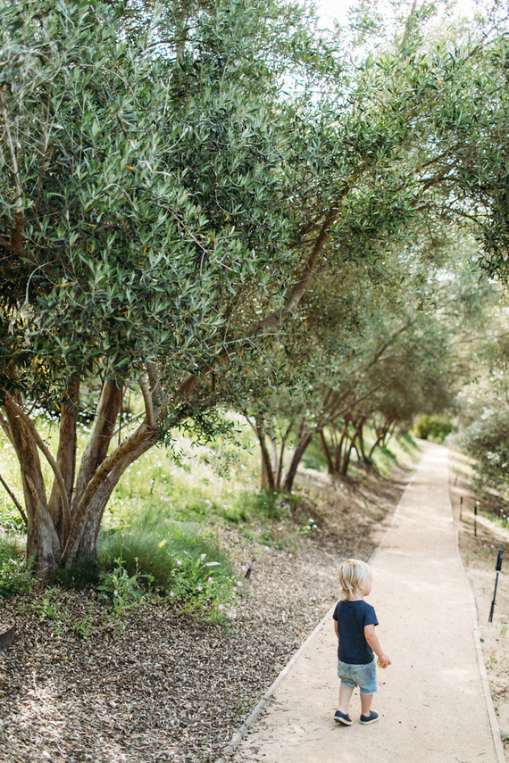 Rancho Valencia Resort and Spa Inspiration