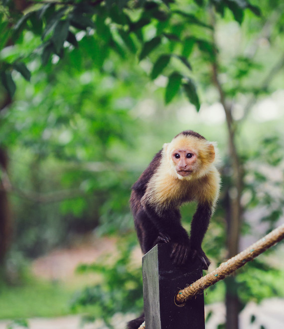 Andaz Costa Rica Resort at Peninsula Papagayo Inspiration