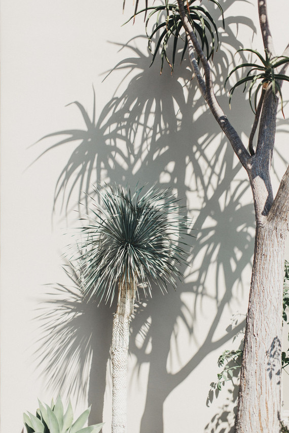 Intimate, elegant backyard wedding in Santa Barbara