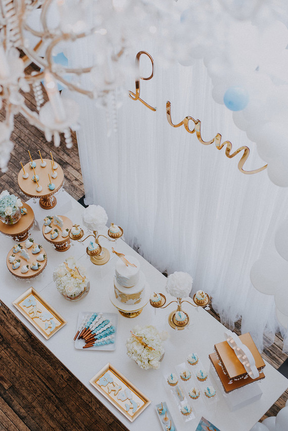 Airplane themed baby shower