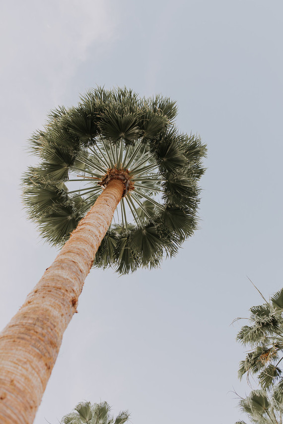 Tropical bachelorette party ideas in Palm Springs