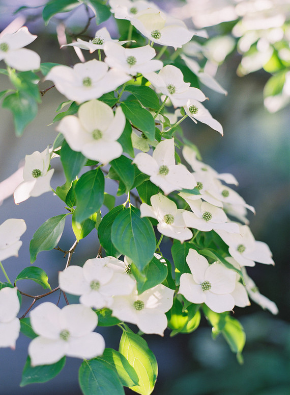 rustic summer upstate New York family photos on film by Jen Huang