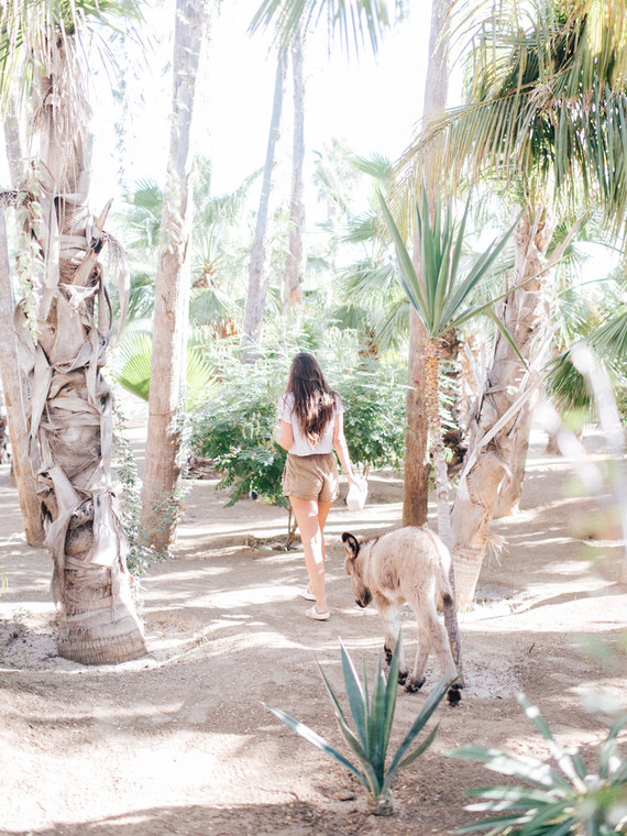 The ultimate itinerary for a honeymoon in Cabo / Acre Baja