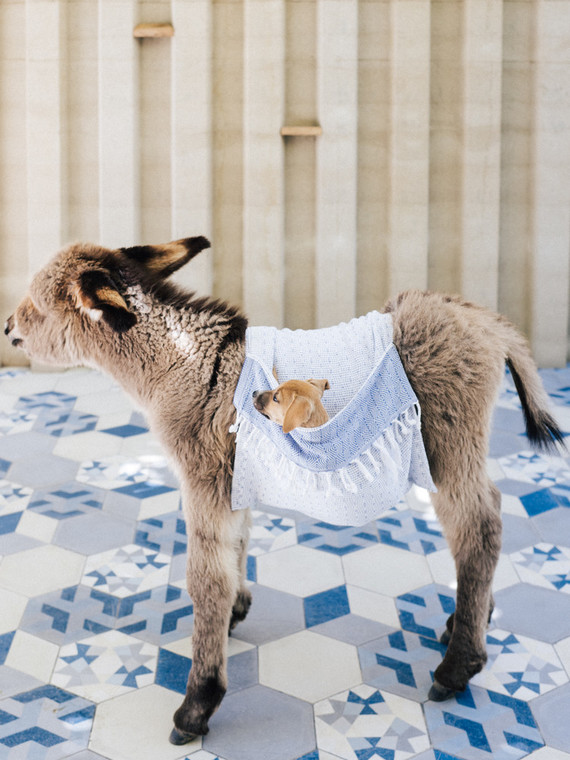 The ultimate itinerary for a honeymoon in Cabo / Acre Baja