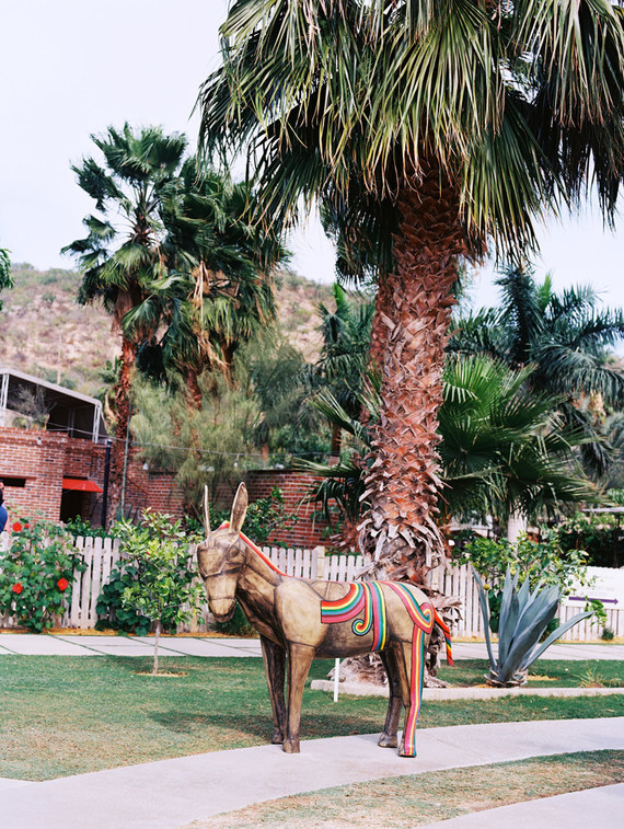 The ultimate itinerary for a honeymoon in Cabo / Todos Santos