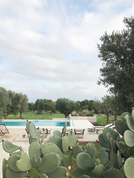 Puglia, Italy Inspiration