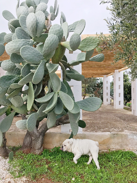 Puglia, Italy Inspiration