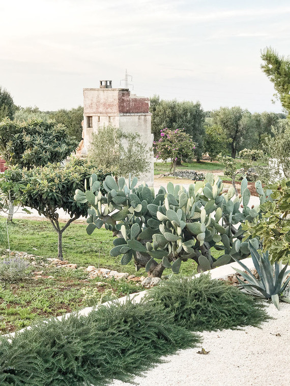 Puglia, Italy Inspiration
