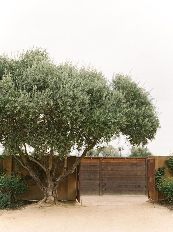 On trend now, a tamarind and pink wedding editorial in Sonoma CA