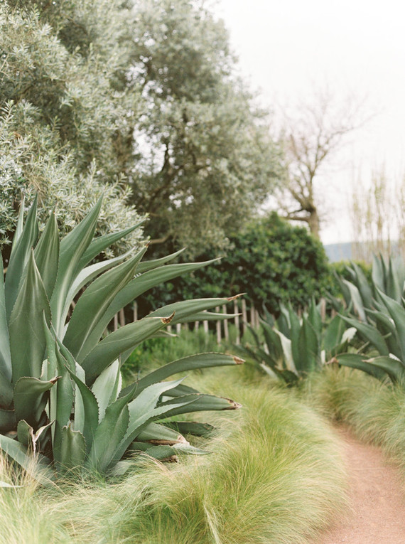 On trend now, a tamarind and pink wedding editorial in Sonoma CA Inspiration