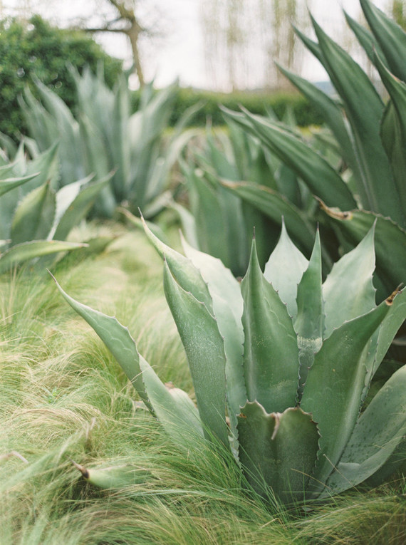 On trend now, a tamarind and pink wedding editorial in Sonoma CA