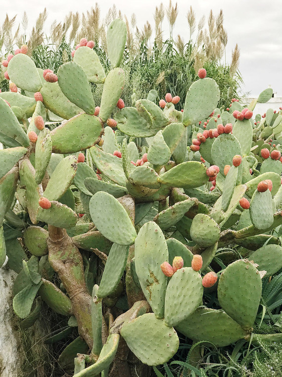 Puglia, Italy Inspiration