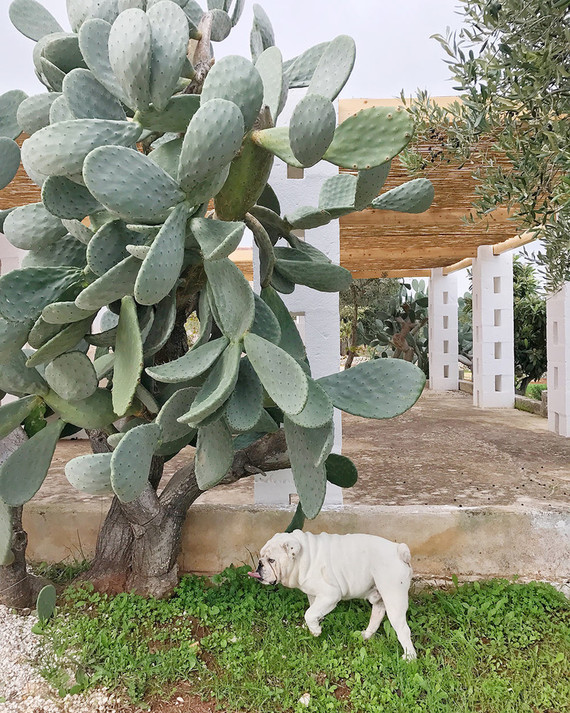 Puglia, Italy Inspiration