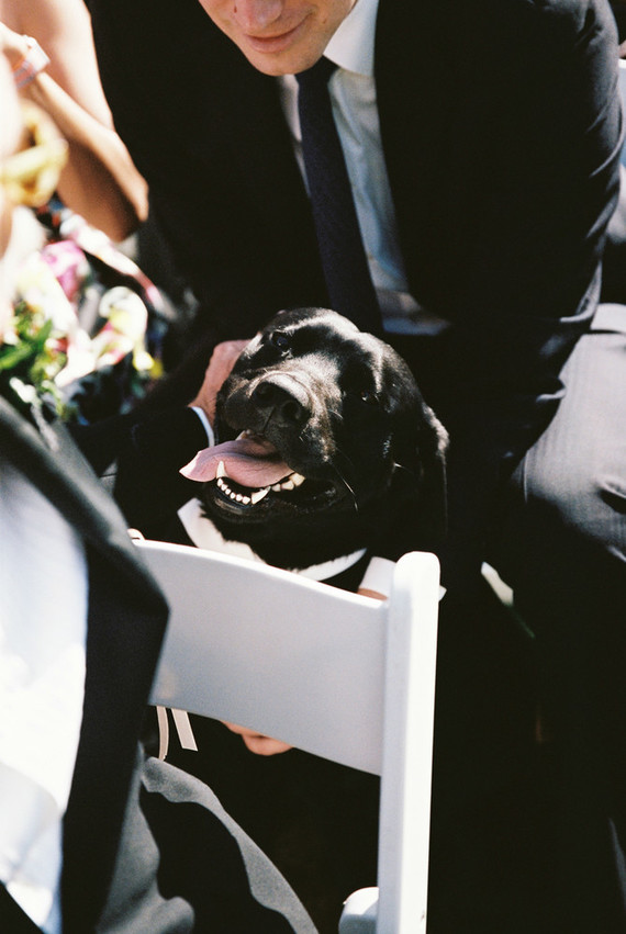 Elegant floral California wedding at The Inn at Rancho Santa Fe Inspiration