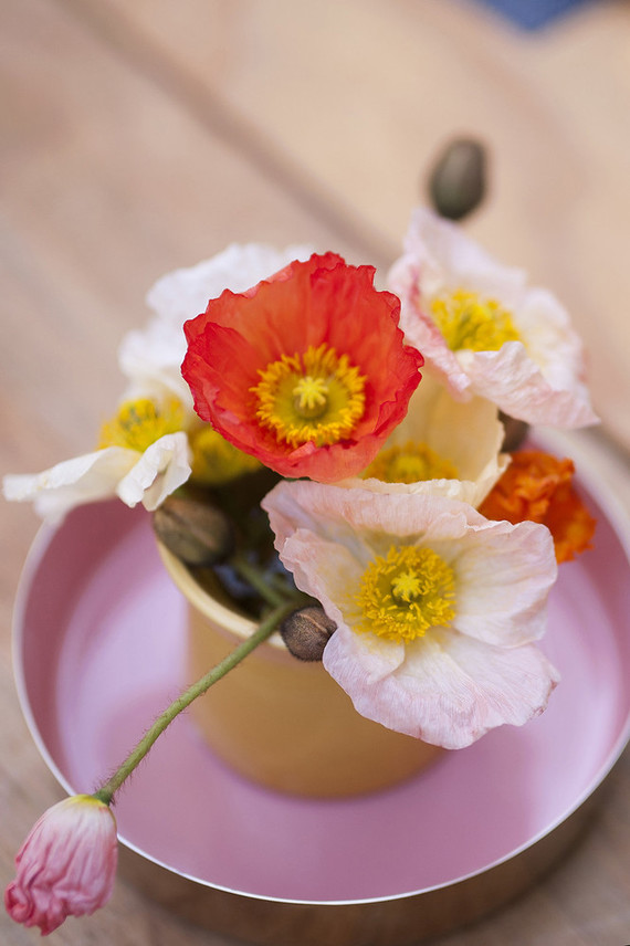 Earth tone llama themed first birthday party