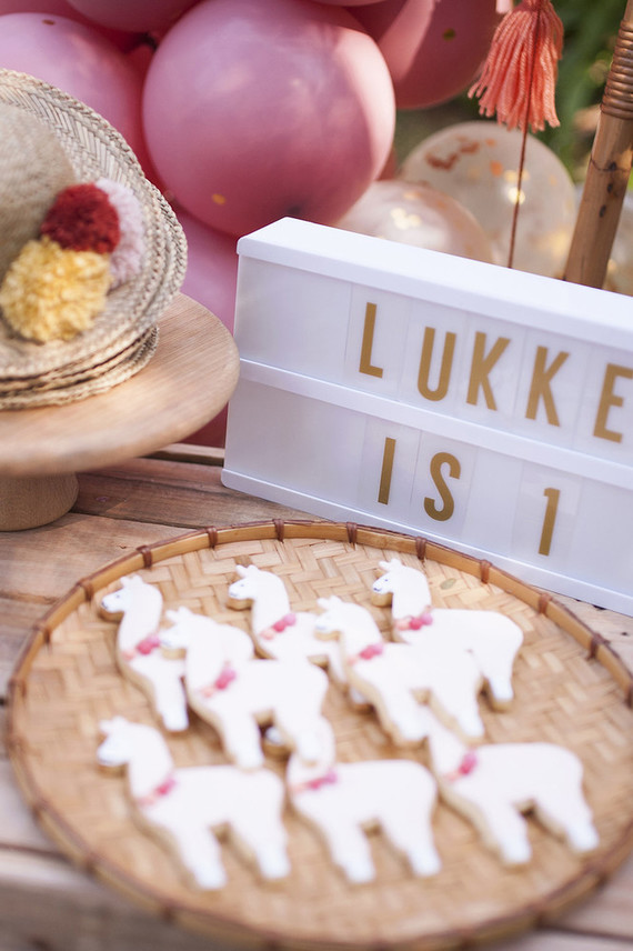 Earth tone llama themed first birthday party