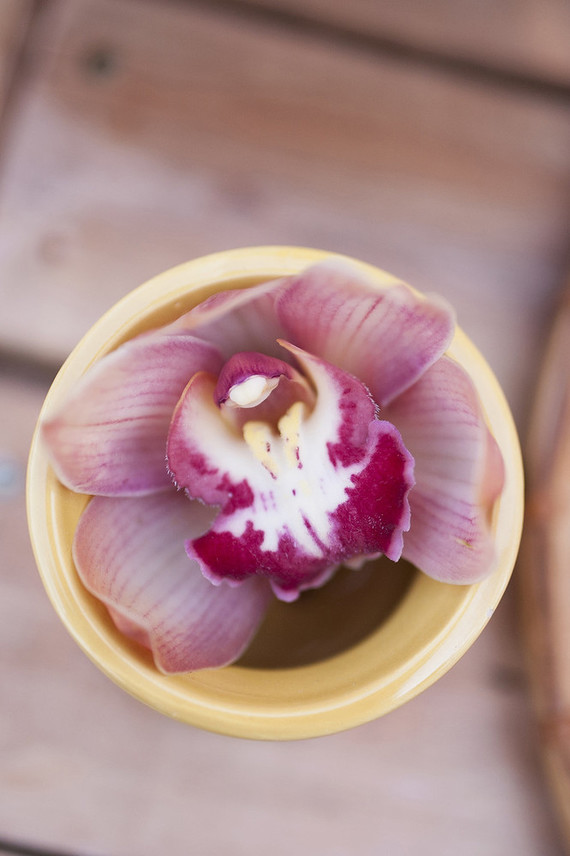 Earth tone llama themed first birthday party