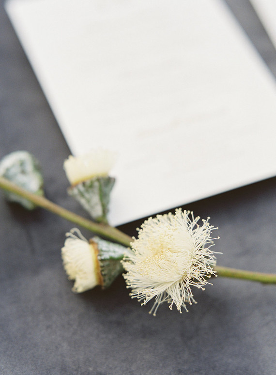 Classic California wedding in an old greenhouse at The Orchid in Santa Barbara Inspiration