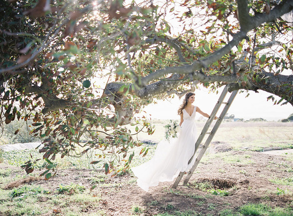 Classic California wedding in an old greenhouse at The Orchid in Santa Barbara