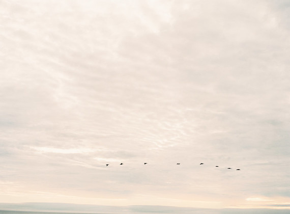 Classic California wedding in an old greenhouse at The Orchid in Santa Barbara