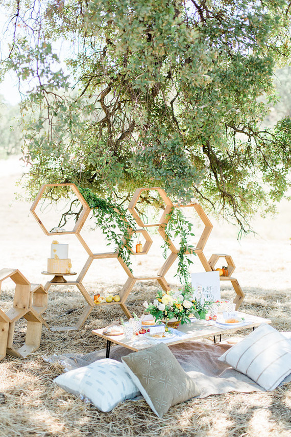 Sweet as Honey boy's birthday party Inspiration