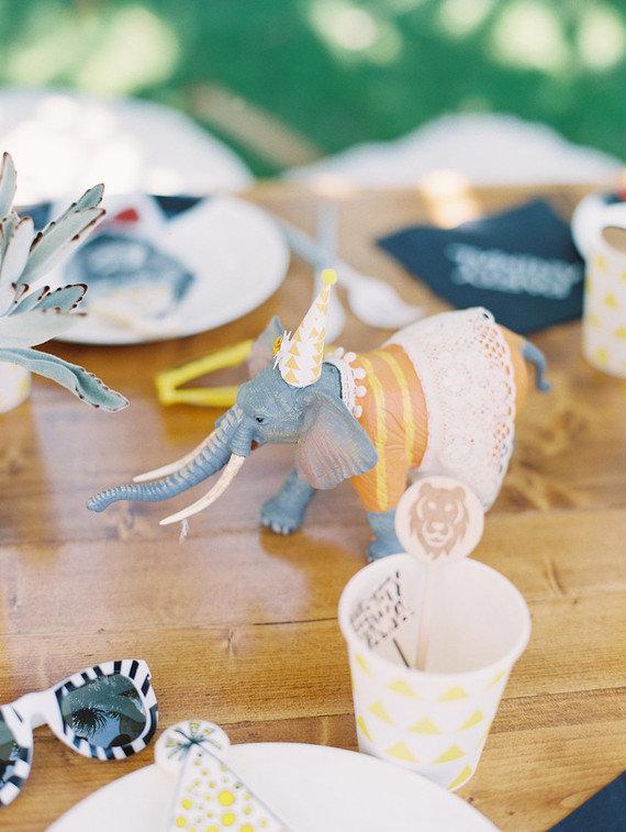 Party like an animal first birthday