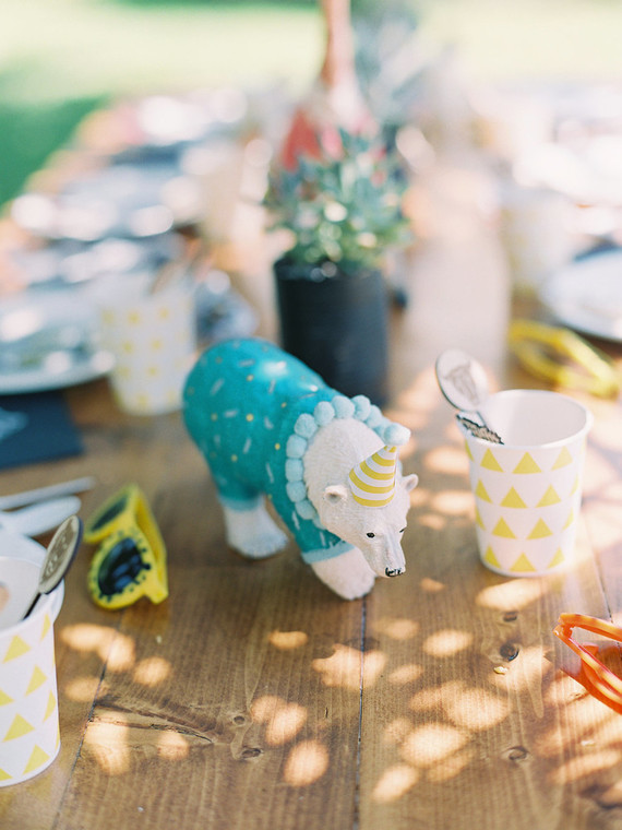 Party like an animal first birthday