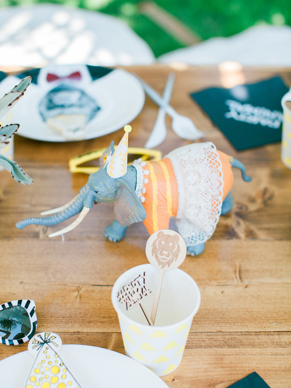 Party like an animal first birthday