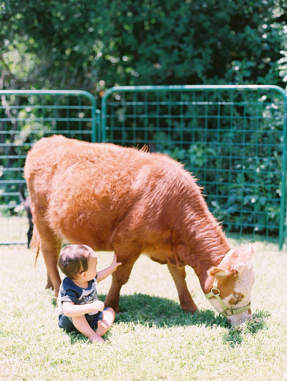 Party like an animal first birthday