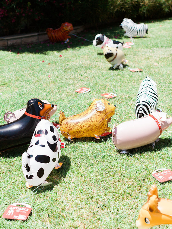 Party like an animal first birthday