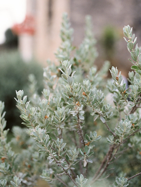Elegant, fall Spanish inspired wedding at Mission San Jose in San Antonio Texas