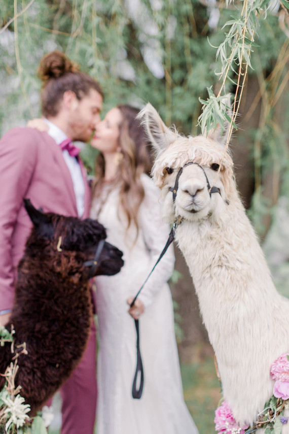 Apple orchard wedding inspiration in Mont Saint Hilaire, Quebec