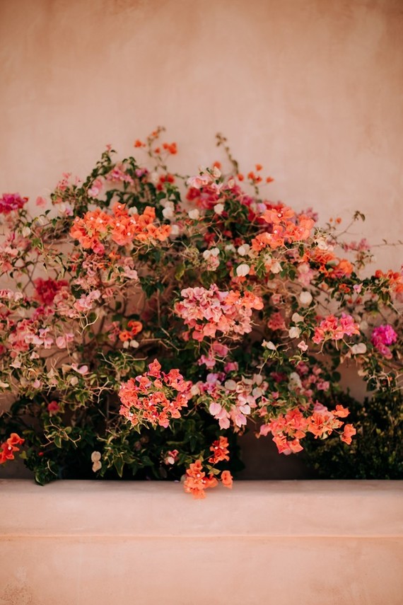 Sophisticated family wedding at Rancho Valencia in San Diego