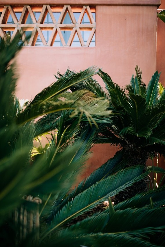 Sophisticated family wedding at Rancho Valencia in San Diego