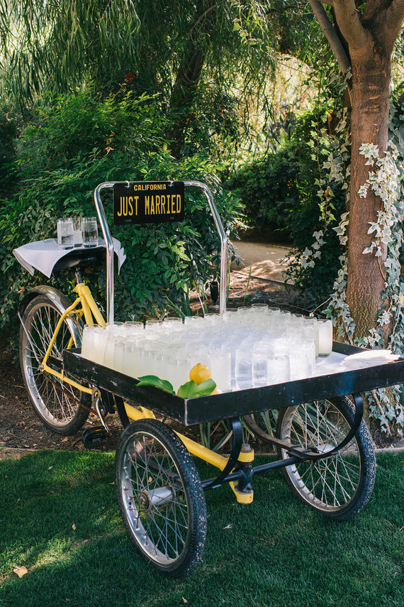 Parker Palm Springs wedding