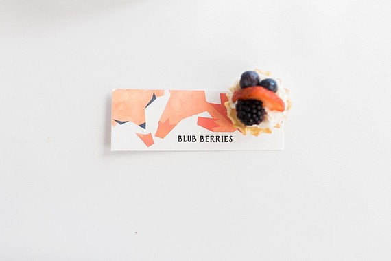 What does the fox say costume party birthday