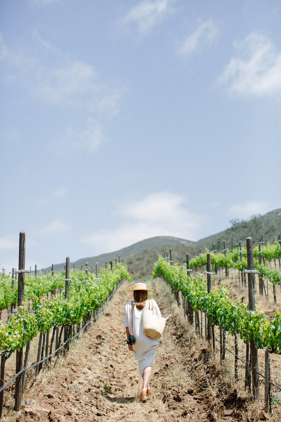 An insider's guide to the Guadalupe Valley in Baja on 100 Layer Cake Inspiration