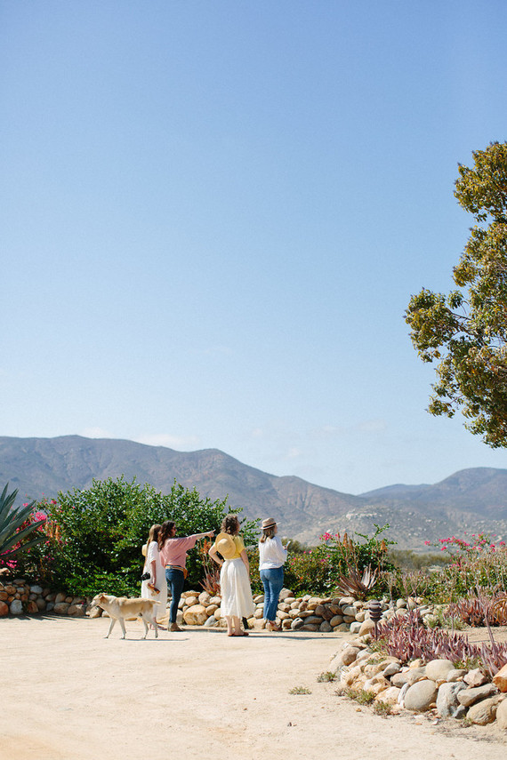 An insider's guide to the Guadalupe Valley in Baja on 100 Layer Cake
