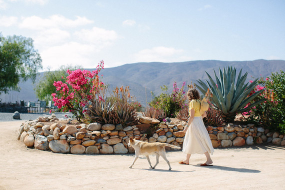 An insider's guide to the Guadalupe Valley in Baja on 100 Layer Cake
