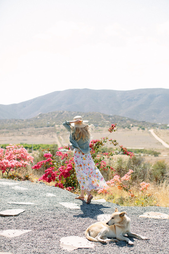 An insider's guide to the Guadalupe Valley in Baja on 100 Layer Cake Inspiration