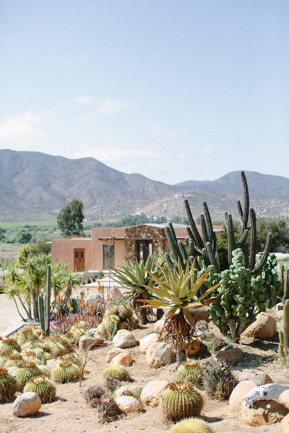 An insider's guide to the Guadalupe Valley in Baja on 100 Layer Cake