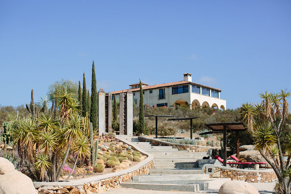 An insider's guide to the Guadalupe Valley in Baja on 100 Layer Cake Inspiration