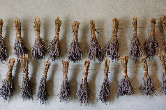 An insider's guide to the Guadalupe Valley in Baja on 100 Layer Cake Inspiration