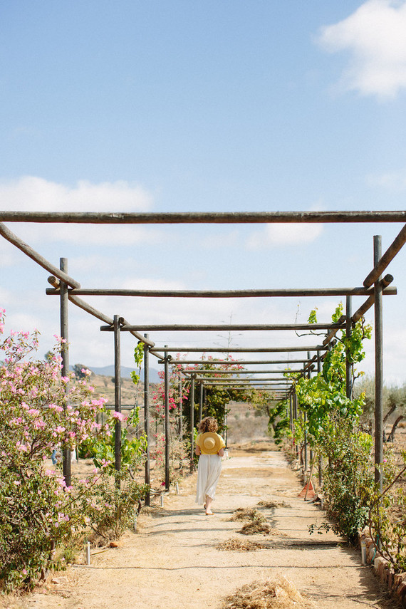 An insider's guide to the Guadalupe Valley in Baja on 100 Layer Cake Inspiration
